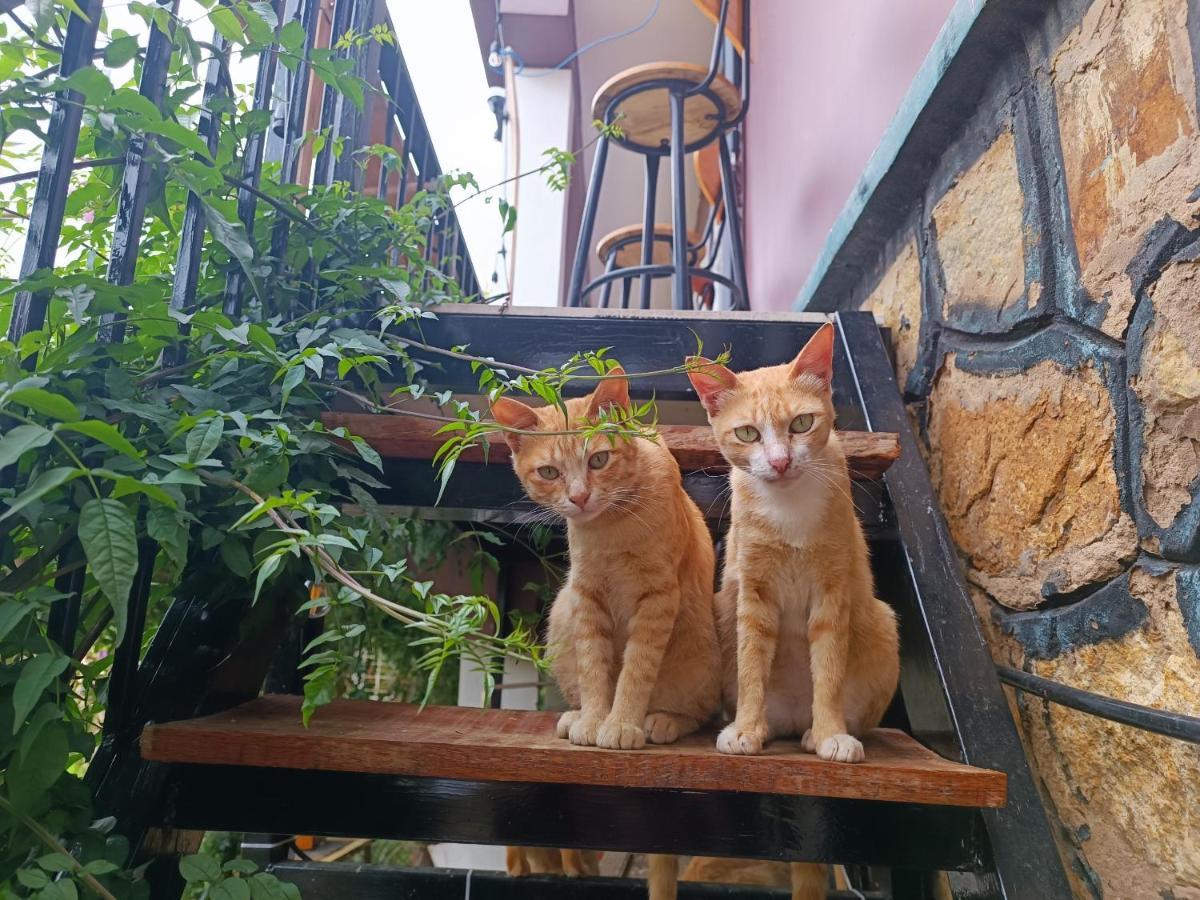 Apartamento The Burrow Dalat Exterior foto